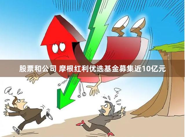 股票和公司 摩根红利优选基金募集近10亿元