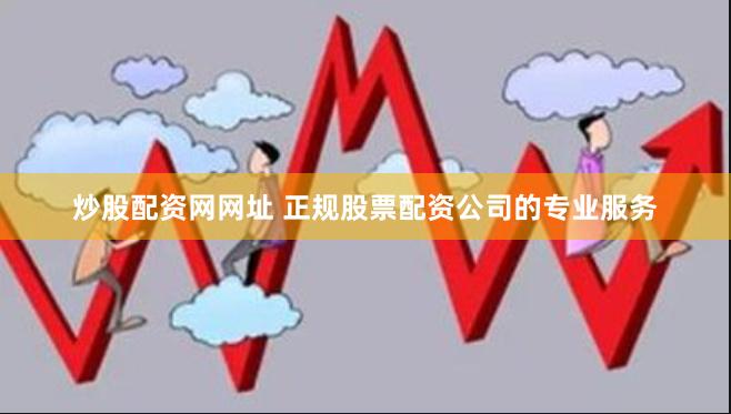 炒股配资网网址 正规股票配资公司的专业服务