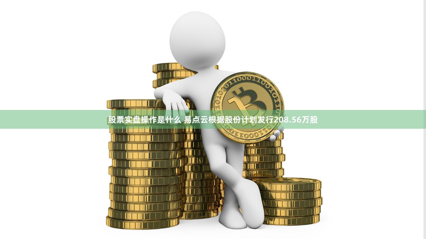 股票实盘操作是什么 易点云根据股份计划发行208.56万股