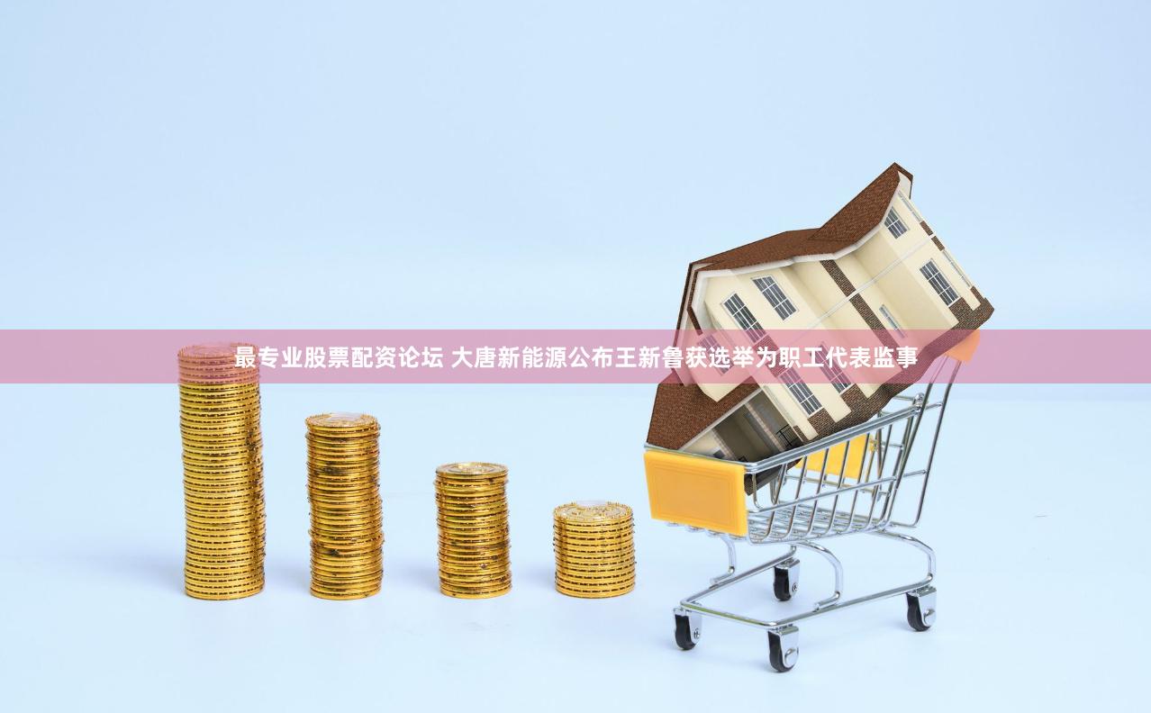 最专业股票配资论坛 大唐新能源公布王新鲁获选举为职工代表监事