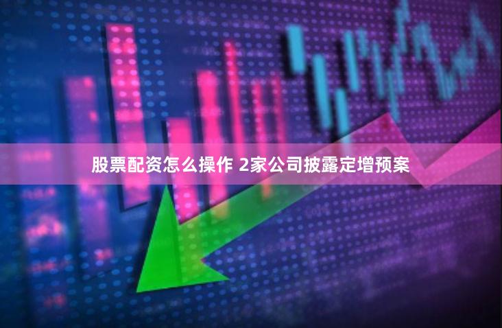 股票配资怎么操作 2家公司披露定增预案
