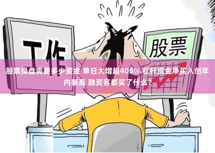 股票操盘需要多少资金 单日大增超405% 杠杆资金净买入创年内新高 融资客都买了什么？