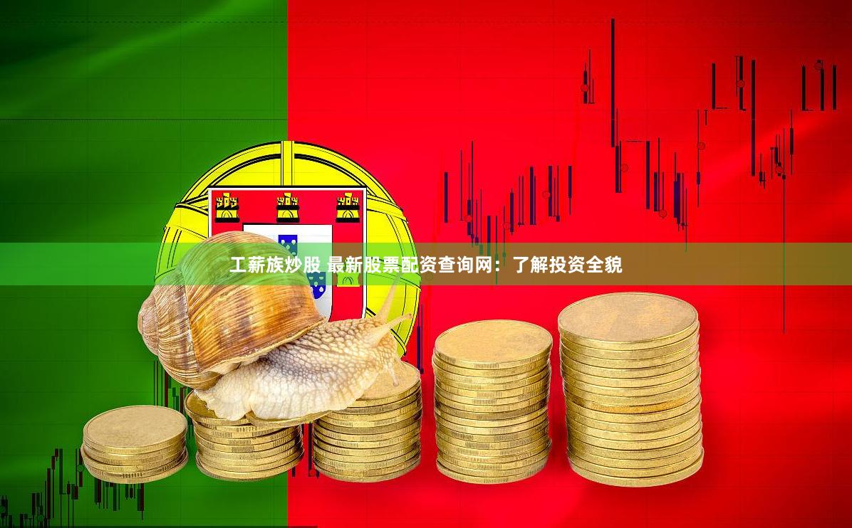 工薪族炒股 最新股票配资查询网：了解投资全貌