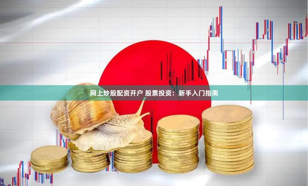 网上炒股配资开户 股票投资：新手入门指南